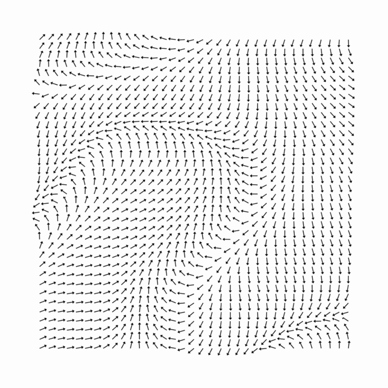 ROT Illusion result